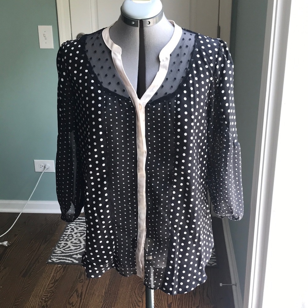 LC Lauren Conrad Polka Dot Black and Cream Blouse